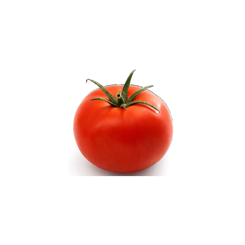 Pomidor Brooklyn F1 SYNGENTA 500 NASION - zdjęcie główne