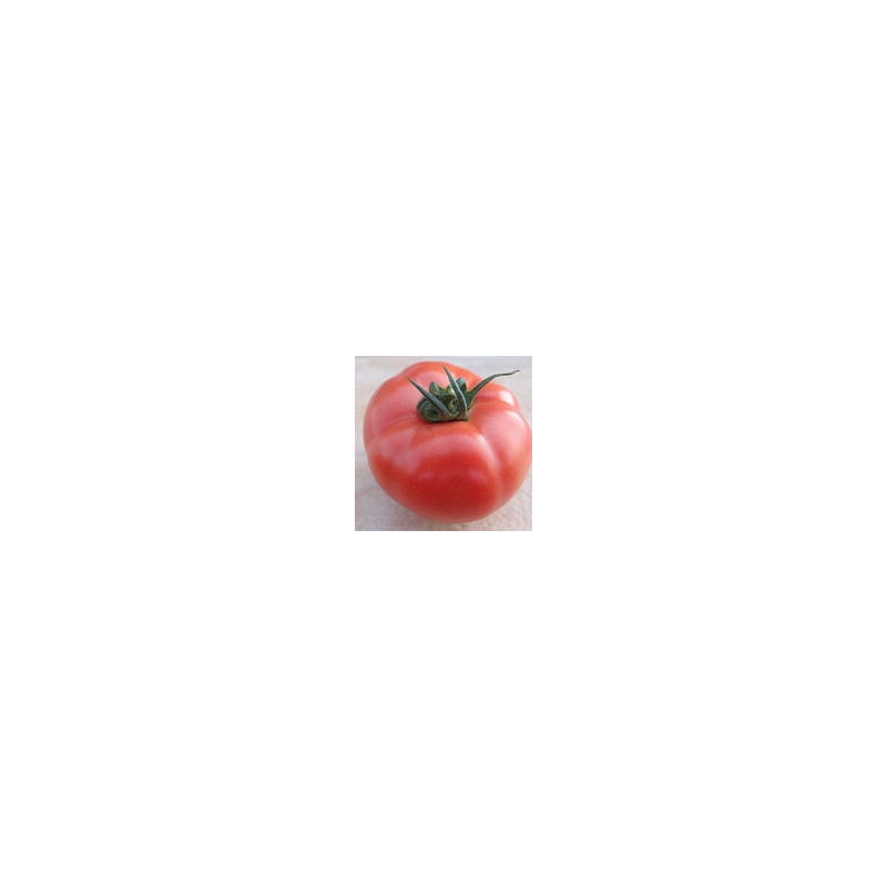 Pomidor malinowy HTP-11 F1 HAZERA 250 NASION NATURALNYCH - zdjęcie główne