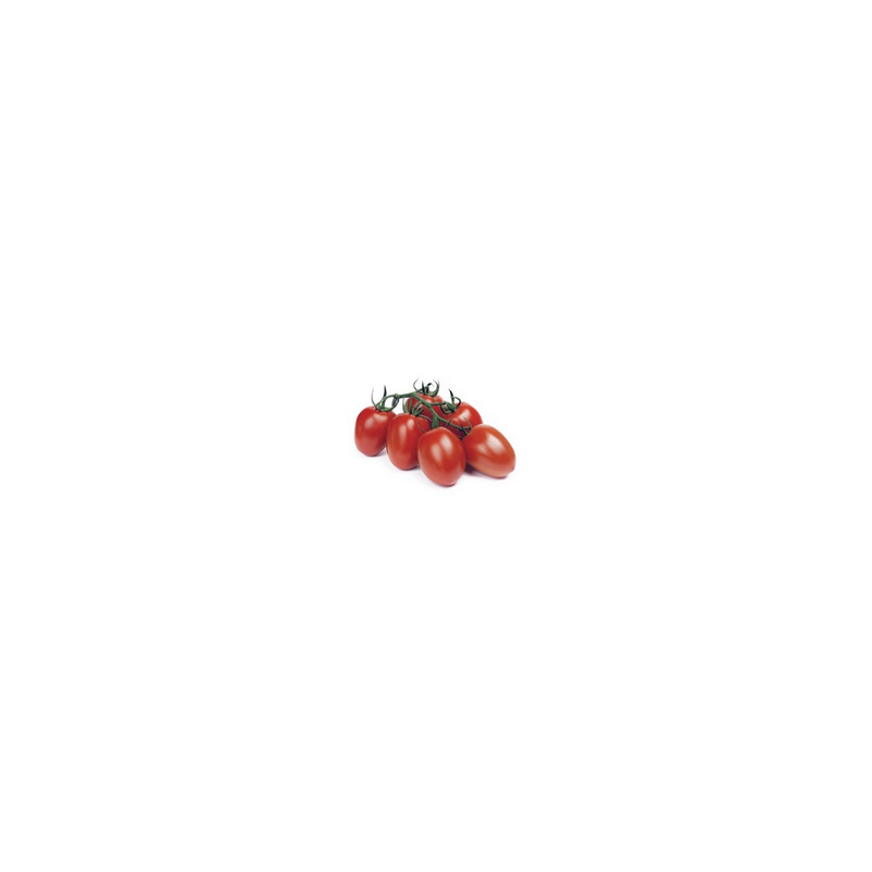 Pomidor śliwkokształtny Reva F1 HAZERA 250 NASION NATURALNYCH - zdjęcie główne