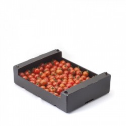 Pomidor DALTARY Rijk Zwaan F1 1000 nasion - modal2