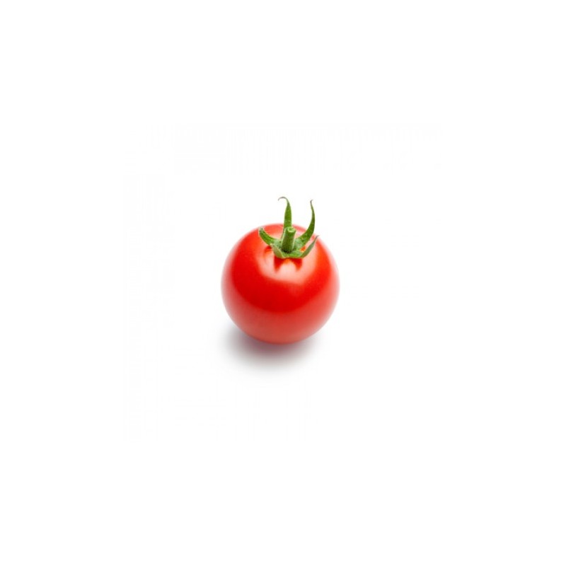 Pomidor DALTARY Rijk Zwaan F1 1000 nasion - zdjęcie główne