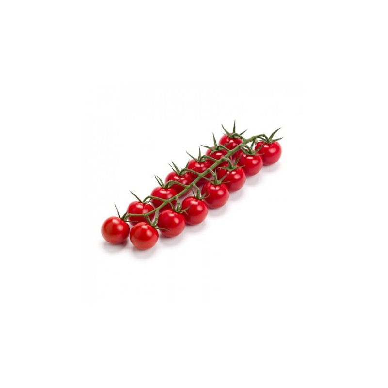 Pomidor GENERY Rijk Zwaan F1 1000 nasion - zdjęcie główne